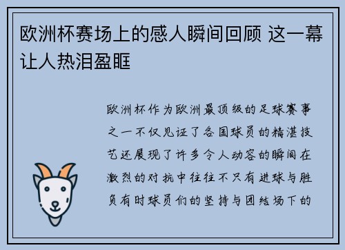 欧洲杯赛场上的感人瞬间回顾 这一幕让人热泪盈眶